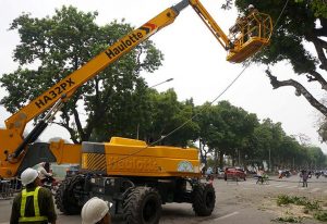 Xe nâng người cắt tỉa cành cây